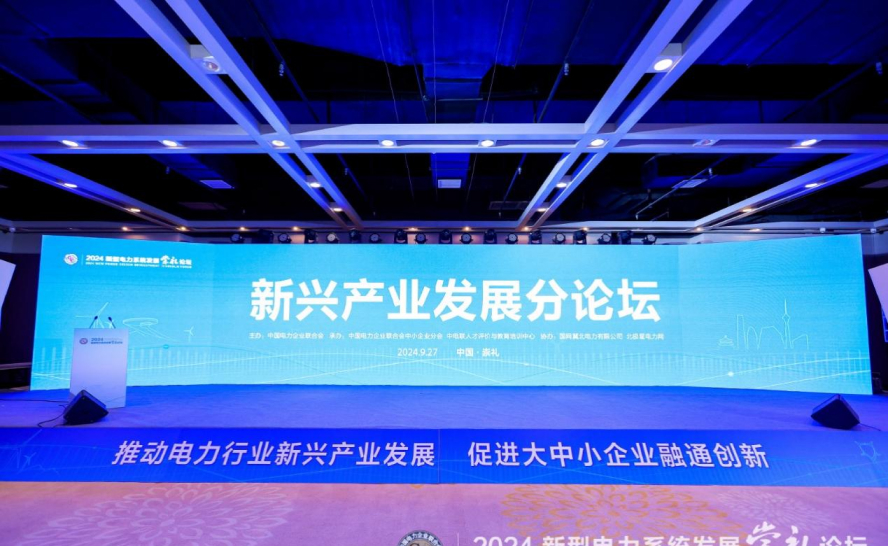 北京普龙科技有限公司在新兴产业发展分论坛的卓越成果展示(图1)