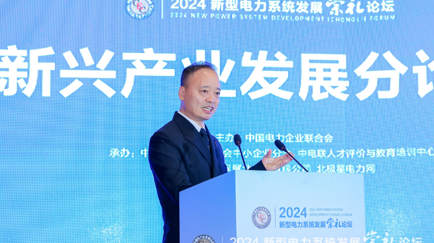 北京普龙科技有限公司在新兴产业发展分论坛的卓越成果展示(图3)